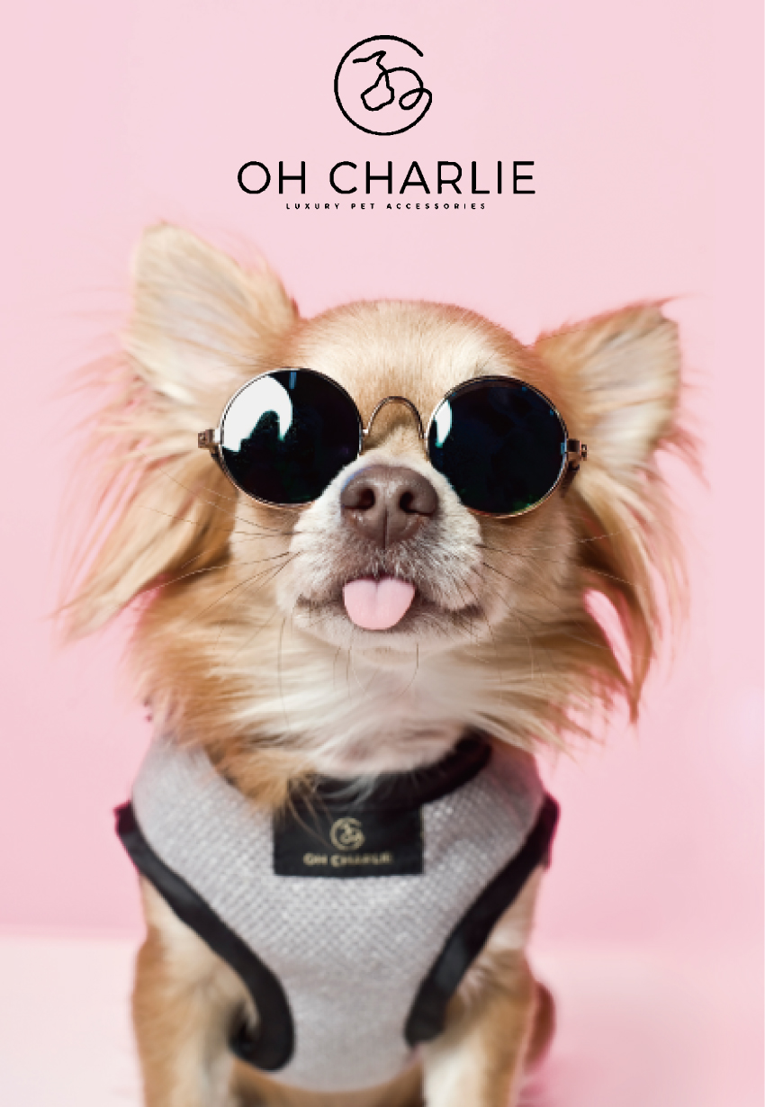 OH CHARLIE P's-first ONLINESTORE